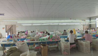 菏澤市成武縣：補短板 興產業 扎實推進鄉村振興