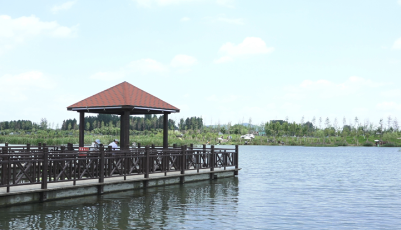 蹲點鄉村看振興 | 棗莊周營鎮：一條河帶來的幸福生活