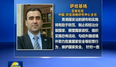 多國人士：香港國安法頒布屬中國內政 外國無權干涉