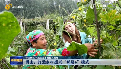 淄博博山區打造“郝峪+”新模式 扎實推進鄉村振興