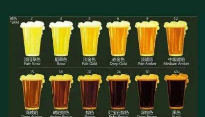 青島啤酒百年之旅為何能成為酒友們的心頭好？