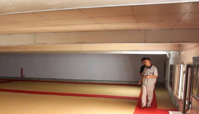 16萬噸糧食如何保管？看山東齊河糧倉“智慧大腦”神操作