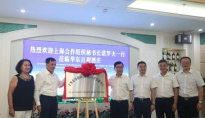 省內行業首個企業上合組織人才交流中心揭牌 上合組織秘書處將與青島飲料集團以酒為媒共建人才技術交易中心