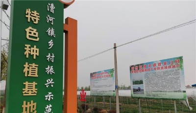 這就是山東| 建設高溫大棚、加工休閑食品，山東各地產業扶貧有門路