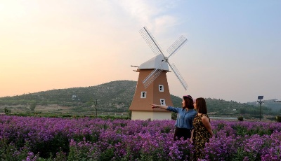 "齊"心"魯"力|荒山披綠變“靠山” ——山東嘉祥以生態治理探致富新路