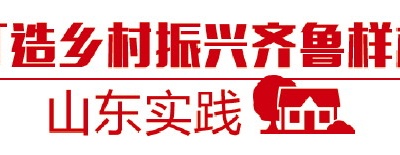 打造鄉(xiāng)村振興齊魯樣板|壽光將新時(shí)代文明實(shí)踐延伸到群眾急需的金融領(lǐng)域