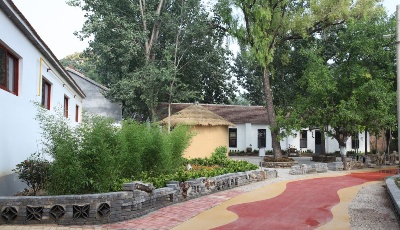 "齊"心"魯"力|從“一年‘吃’掉一個坯”到“美麗鄉村”——來自山東省派夏津鄉村振興服務隊的探索實踐