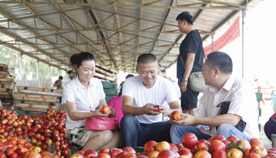 邮储银行青岛分行：  金融科技赋能  助力乡村振兴