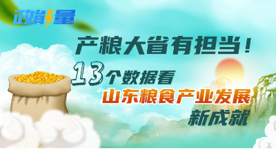 政能量｜產糧大省有擔當！13個數據看山東糧食產業發展新成就