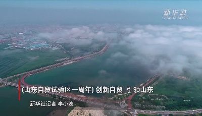 創(chuàng)新自貿(mào) 引領(lǐng)山東