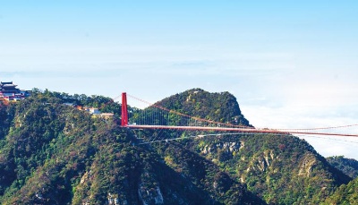 整合省屬國企文旅、醫養資產，山東成立國欣文旅、國欣頤養兩大集團