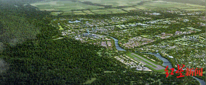 經濟半年報出爐，這顆“雙子星”為何分外閃耀