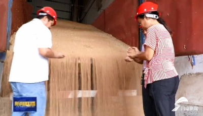 科技做依托！山東小麥產業升級帶動消費升級，百姓餐桌更豐富