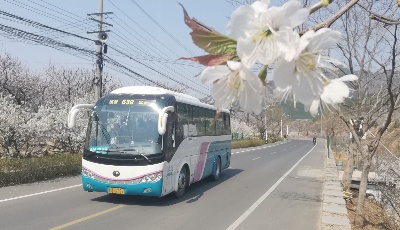 青岛荣膺国家公交都市建设示范城市