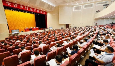 省委召開全省鄉村振興座談會 