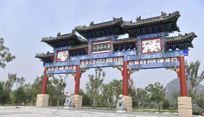 【中國夢(mèng)·黃河情】黃河萬里入胸懷！齊魯大地奏響幸福大河新樂章