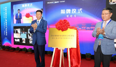 立足國際貿易，打造“雙驅動”發展模式  新華錦集團列“2019年中國對外貿易500強”180位