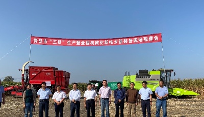 全程機械化“保駕護航”  秋糧再獲豐收有望高產(chǎn)