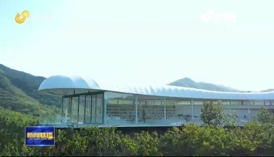 鄉(xiāng)村振興丨逾千村民家門口就業(yè)，年均收入2.6萬！泰安這個(gè)曾經(jīng)省級(jí)貧困村如何做到？