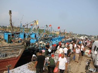 开海第一网  渔民喜获丰收