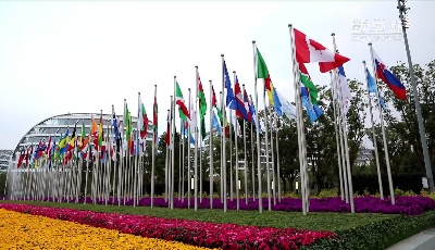 穩(wěn)外貿(mào)｜中國(guó)市場(chǎng)足夠大——聽(tīng)外企老總談“中國(guó)機(jī)遇”