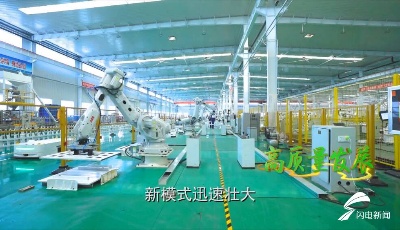 黃河入海丨生態優先綠色發展！山東推動黃河流域生態保護和高質量發展