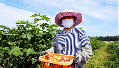 這就是山東|結對幫扶、實干作為，山東各地脫貧攻堅結碩果