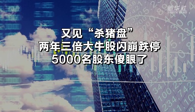 又见“杀猪盘”！两年三倍大牛股闪崩跌停，5000名股东傻眼了