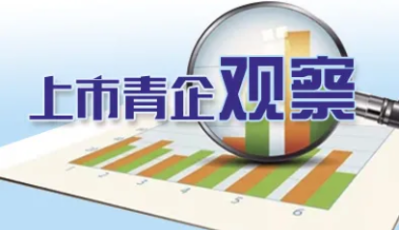 上市青企觀察：特斯拉欲“棄鈷轉鎳” 青島中程飛上“風口”