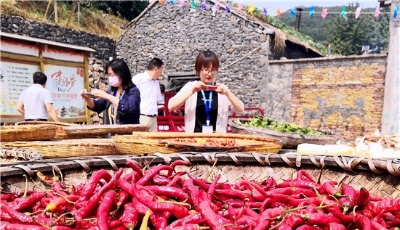 圖說現場丨豐收啦！瓜果香秋意濃，沂源陽三峪“曬秋”美如畫