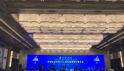 中國企業(yè)改革50人論壇暨創(chuàng)意青島大會舉行