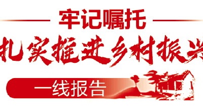 扎實推進鄉(xiāng)村振興丨數(shù)字賦能，“慧”農(nóng)服務(wù)更惠農(nóng)