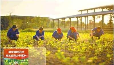“雙基多維”，讓黨旗在鄉村振興一線高高飄揚