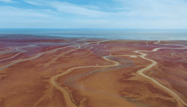 “齊”心“魯”力|“長龍”臥波黃河口