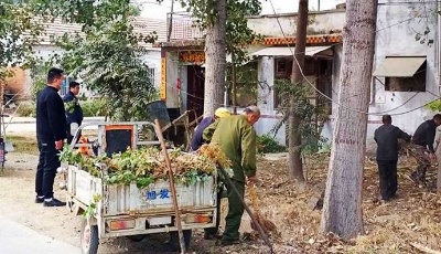 這就是山東|鄉村美、戶戶通，山東各地鋪就生態宜居幸福路