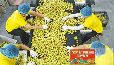 注入科技基因 融合全鏈資源！農業“老產業”挺進新天地