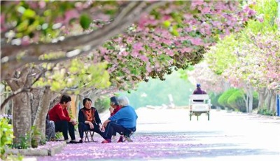 "齊"心"魯"力|煙臺萊陽：生態(tài)濯村的幸福蝶變