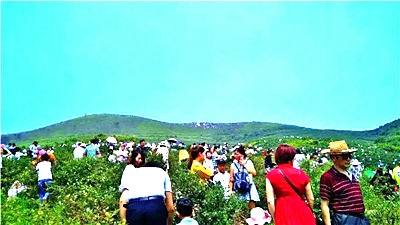 “五彩”奮斗之路！看威海這個農業大鎮的鄉村振興路