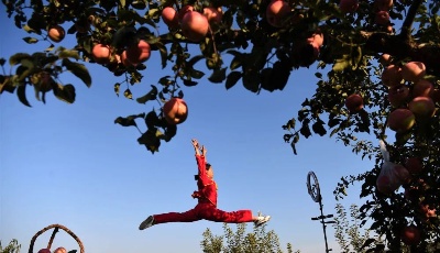 這就是山東｜為何？這個失聰女孩在故鄉果園里忘情飛舞！