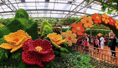 山東鄉村振興一線報告|?藏糧于技，技從何來？