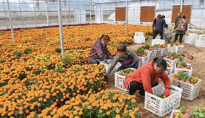 深刻認識準確把握核心要義 ——三論深入學習貫徹黨的十九屆五中全會精神