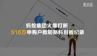 蚂蚁集团火爆打新 516万申购户数刷新科创板纪录