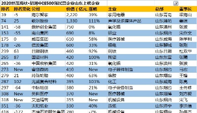 胡润中国500强民营企业榜单发布，山东20家企业上榜