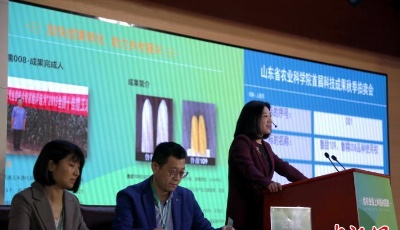 山東發布百項農業科技成果 助力農業“插翅騰飛”