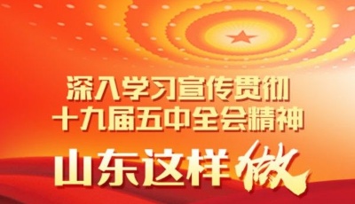 深入學習宣傳貫徹十九屆五中全會精神，山東這樣做