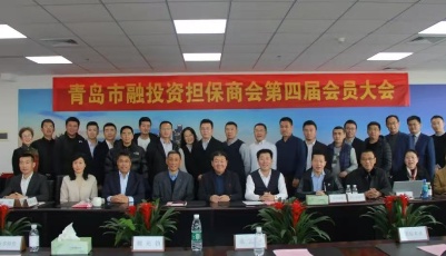 市融投资担保商会成功换届，迈入发展新征程