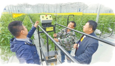 山東省搭建廣闊舞臺外引內培，讓更多人才耕耘在希望的田野上 為鄉村振興播下更多“火種”