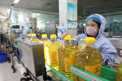 中小企业近况如何，助企政策如何发力？