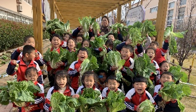 感受豐收的喜悅
