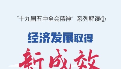 “十九屆五中全會精神”系列解讀①｜經濟發展取得新成效